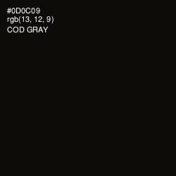 #0D0C09 - Cod Gray Color Image